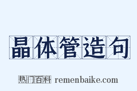 晶体管造句是什么意思的图片